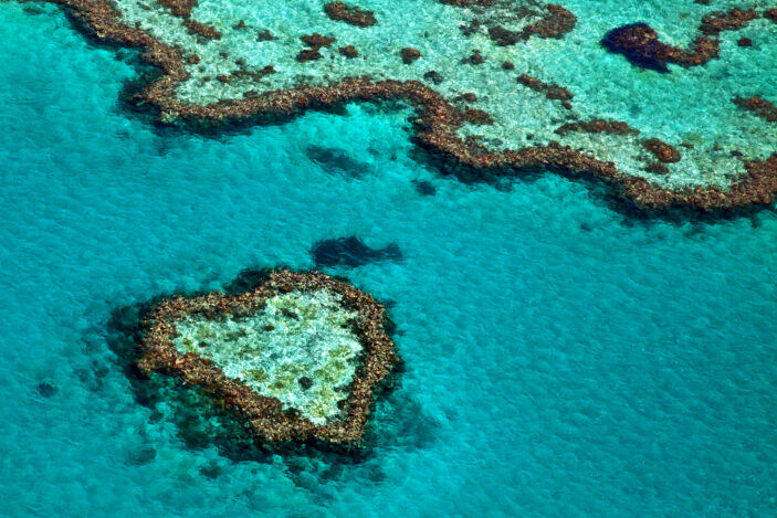 10-Reasons-Why-You-Must-Visit-Queenslands-Great-Barrier-Reef-703x469
