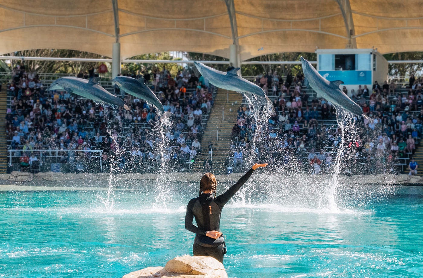 SW_Affinity_Presentation-1400x920